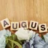 AVVISO ALLE UTENZE PER LA FESTIVITA’ DEL 15 AGOSTO 2026
