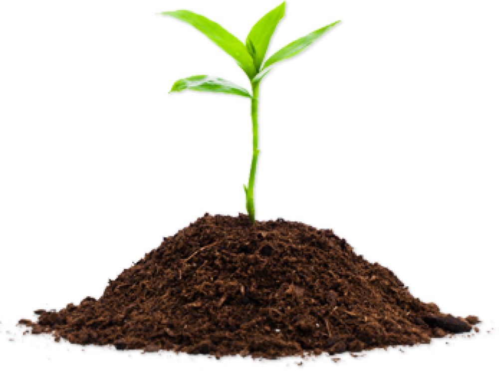 14^ Giornata Intercomunale del Compost